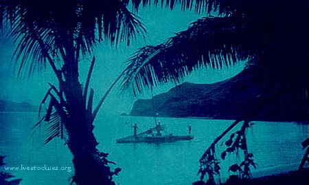 Vintage Fiji