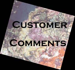 Customer Comments