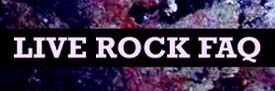 To Live Rock FAQ